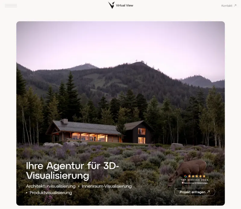 Website Virtual View